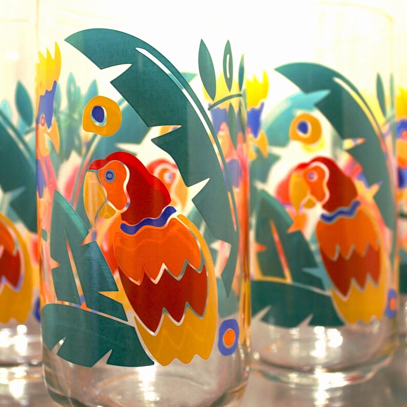 Vintage Macaw Parrot Tumblers – Set of 4 Colourful Tropical Bird Glasses