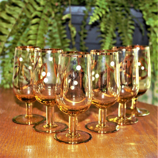 Vintage Gold Cordial Glasses Set: Hand-Painted Amber Stemware, Set of 6