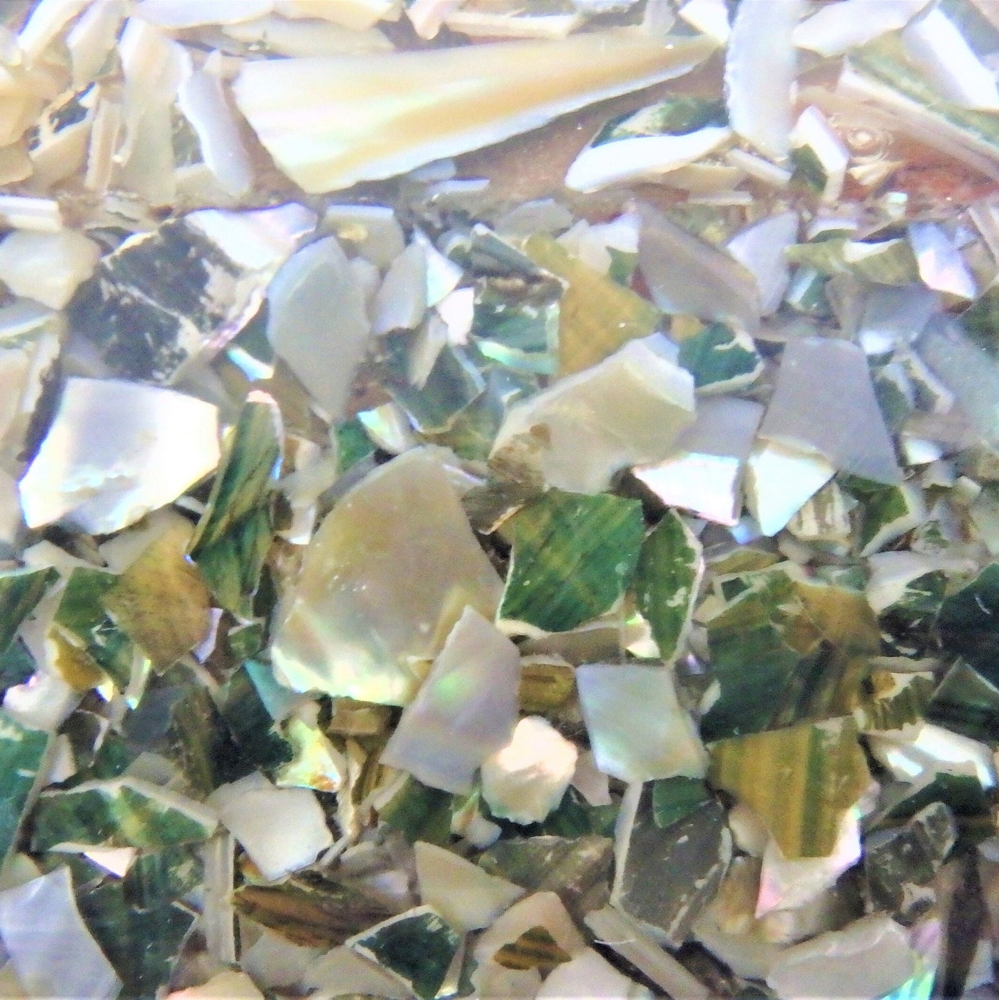 Handmade Abalone Seashell Cedar Jewelry Box: Keepsake Trinket Holder