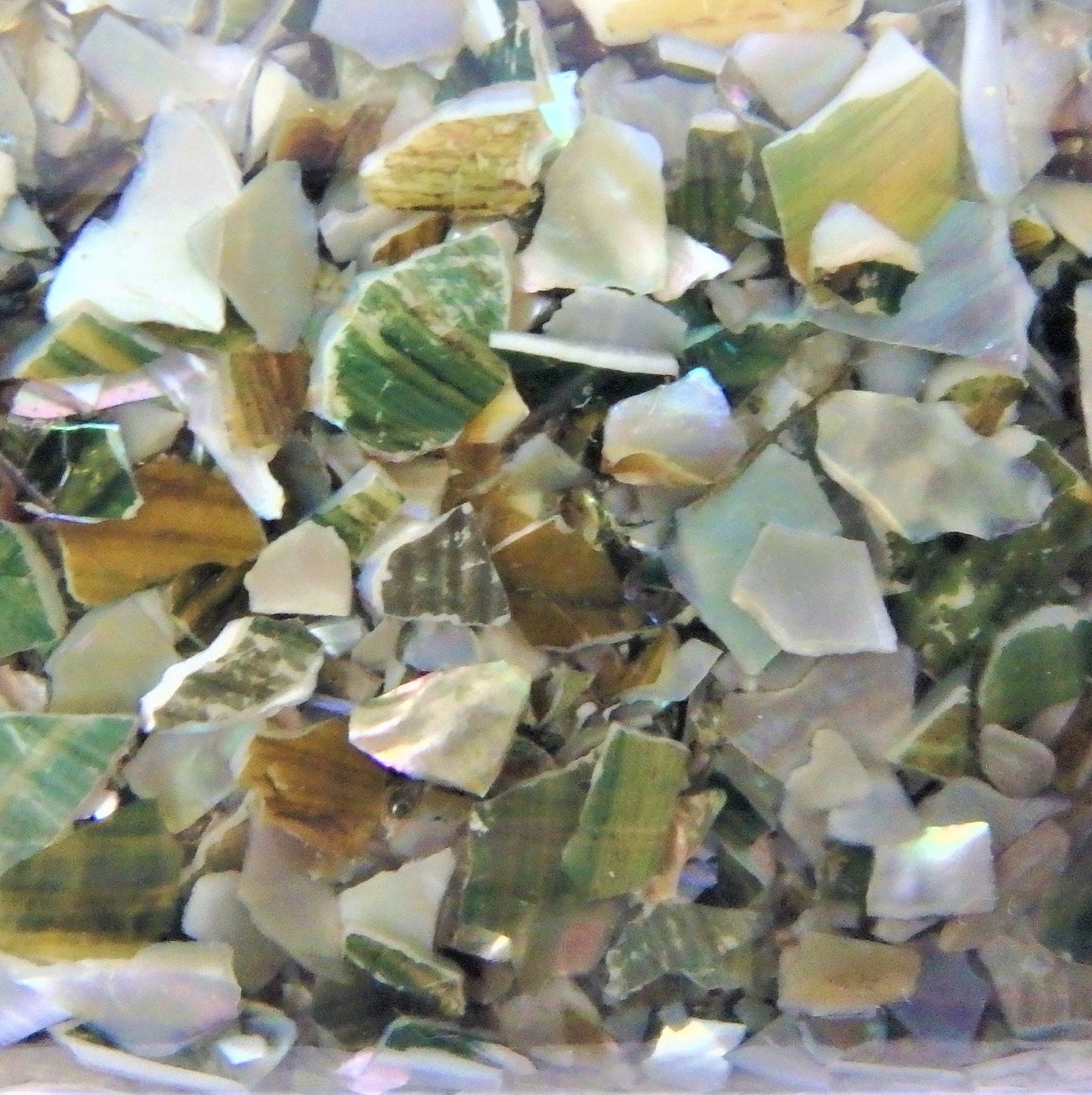 Handmade Abalone Seashell Cedar Jewelry Box: Keepsake Trinket Holder