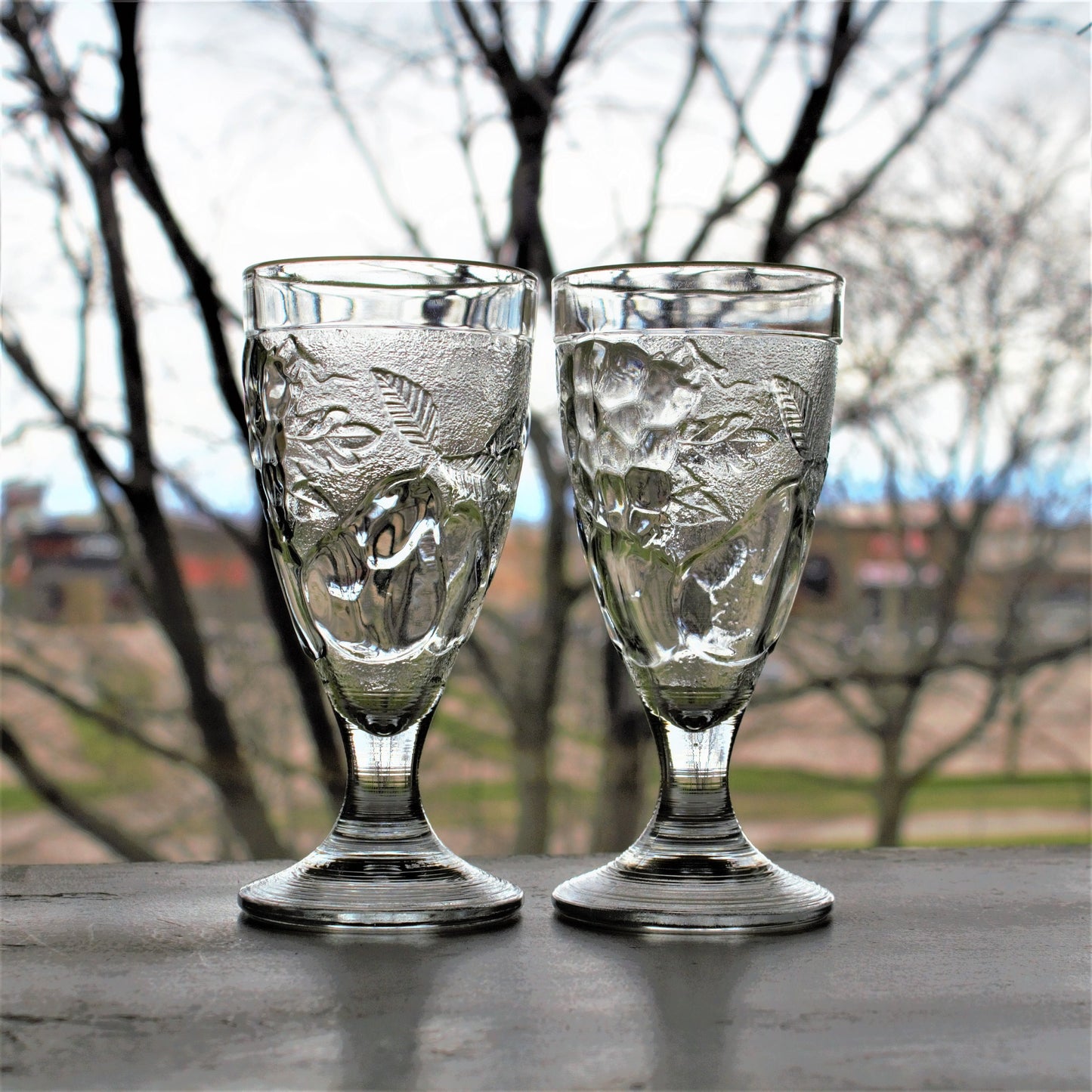 Vintage French Embossed Glass Tumblers - Set of 2 Fruit Motif