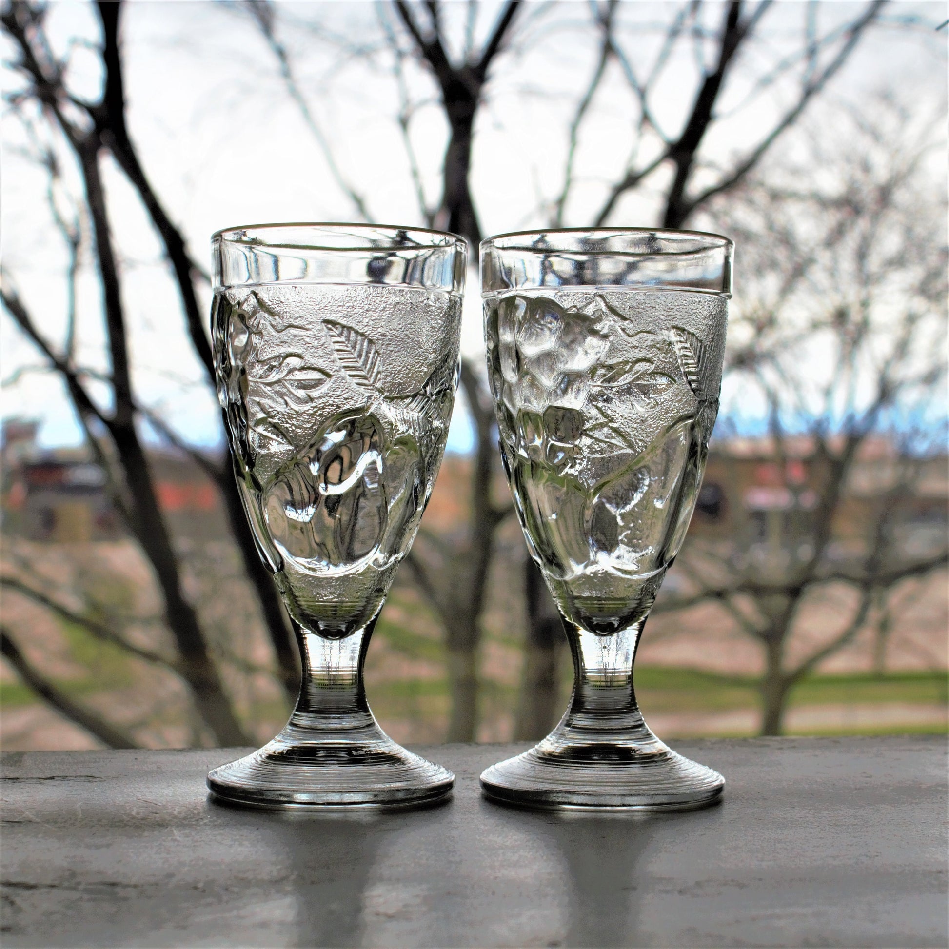 Vintage French Embossed Glass Tumblers - Set of 2 Fruit Motif