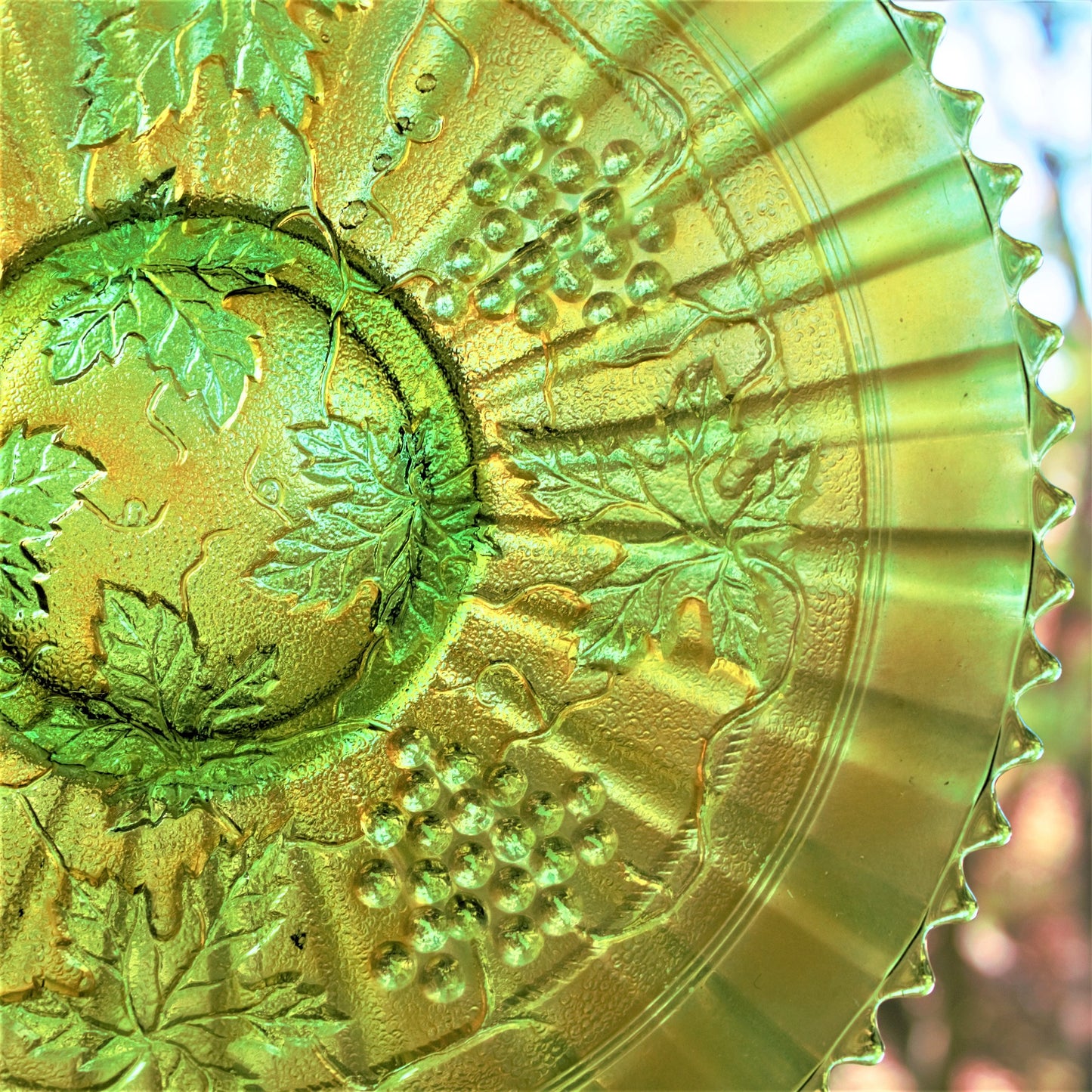 Rare Northwood Grape & Cable Plate: Iridized Green Stippled Sawtooth Edge