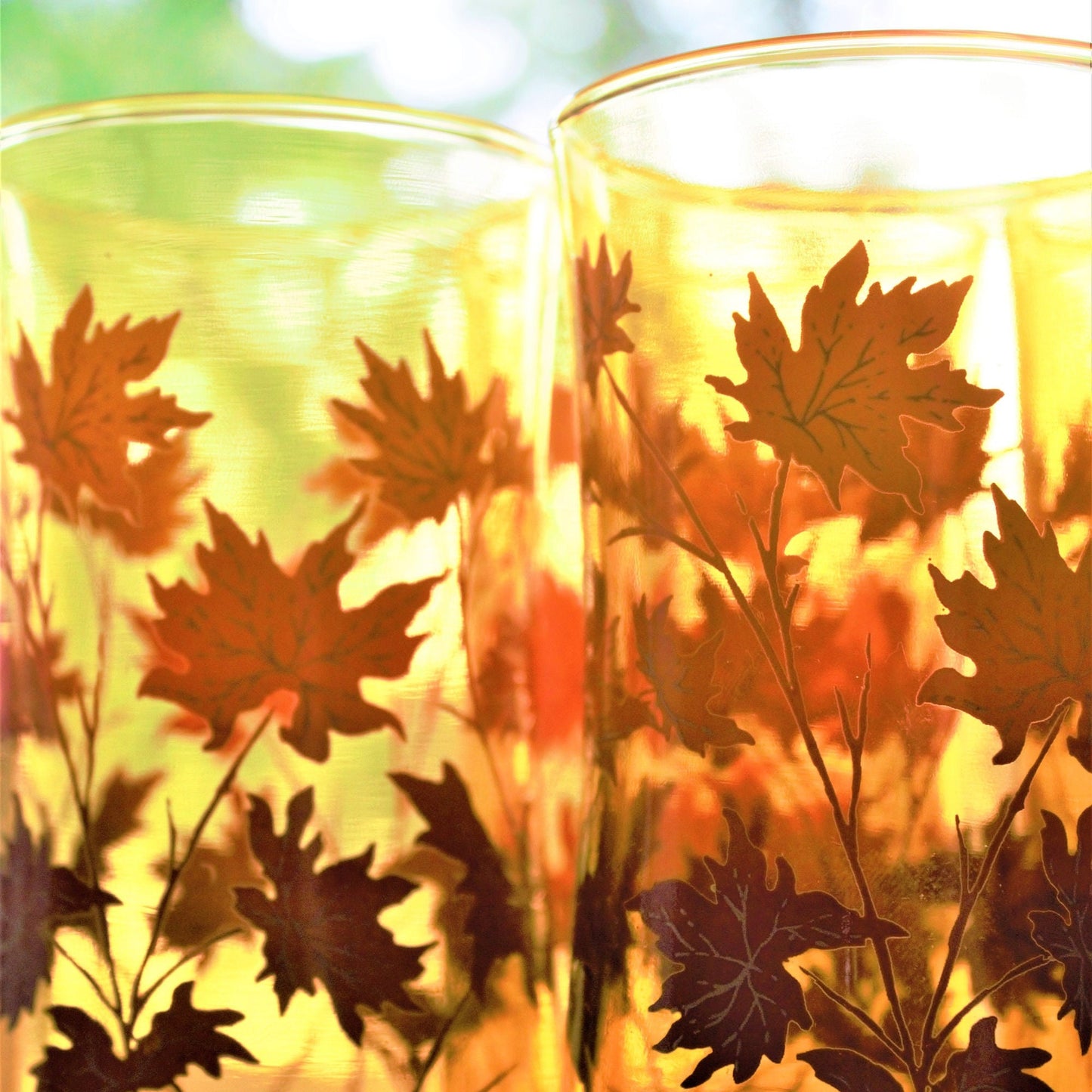 Vintage Orange Ombre Fall Leaves Tumblers - Retro Cocktail Glasses, Set of 4
