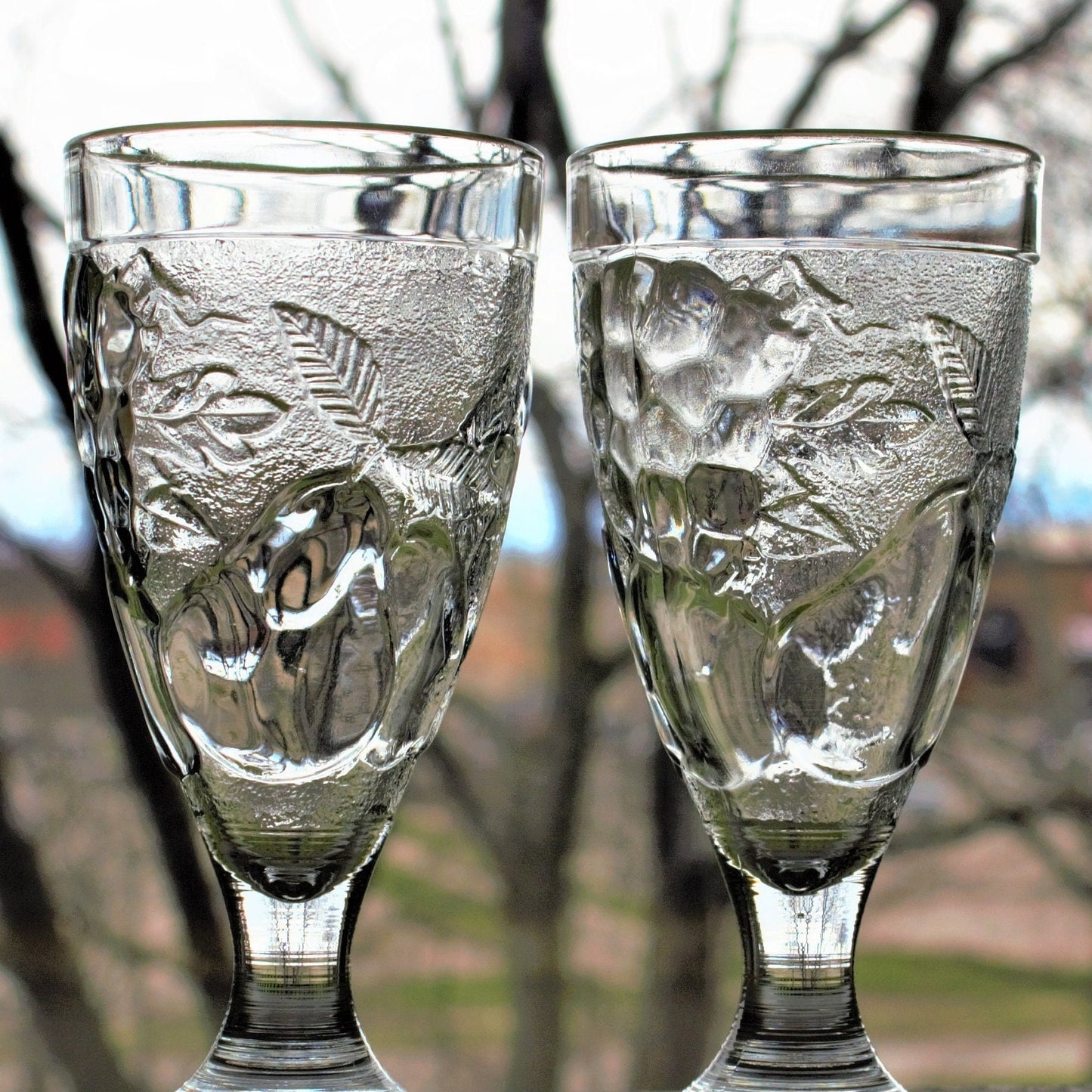 Vintage French Embossed Glass Tumblers - Set of 2 Fruit Motif