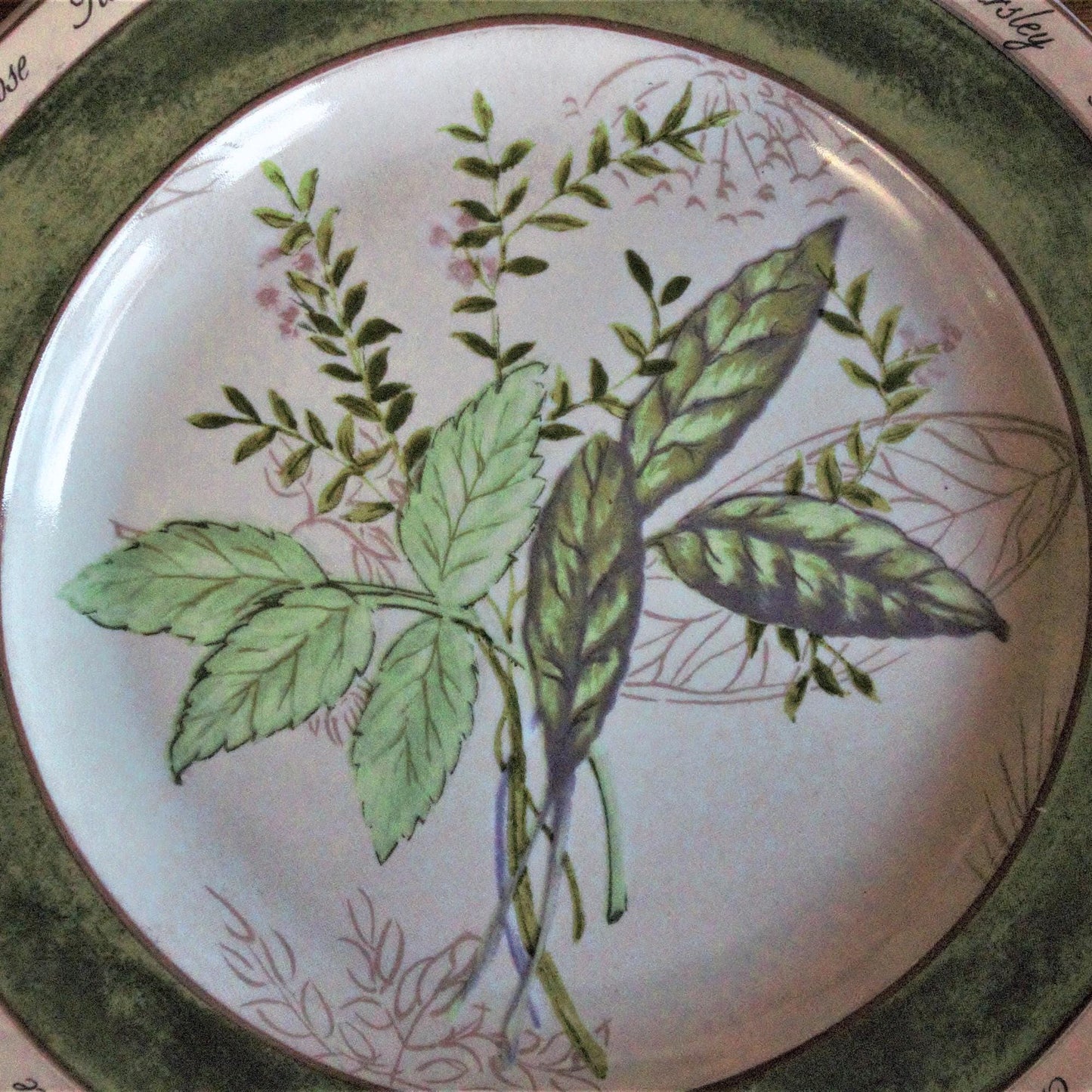 Herb Salad Plates - Set of 4 American Atelier Botanical Plates