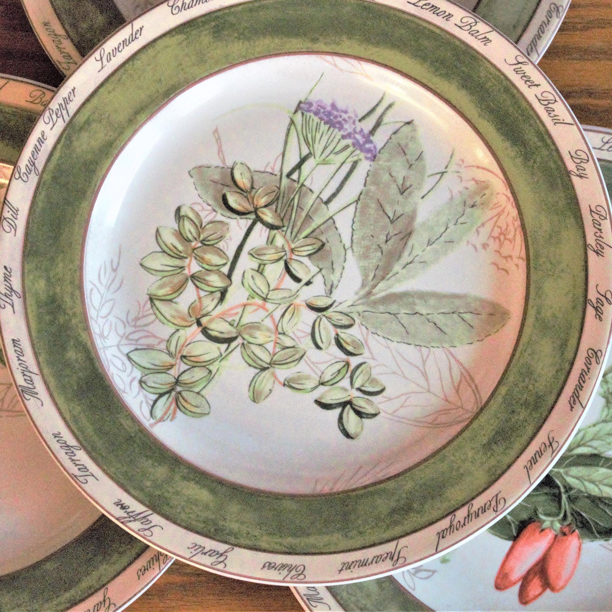 Herb Salad Plates - Set of 4 American Atelier Botanical Plates
