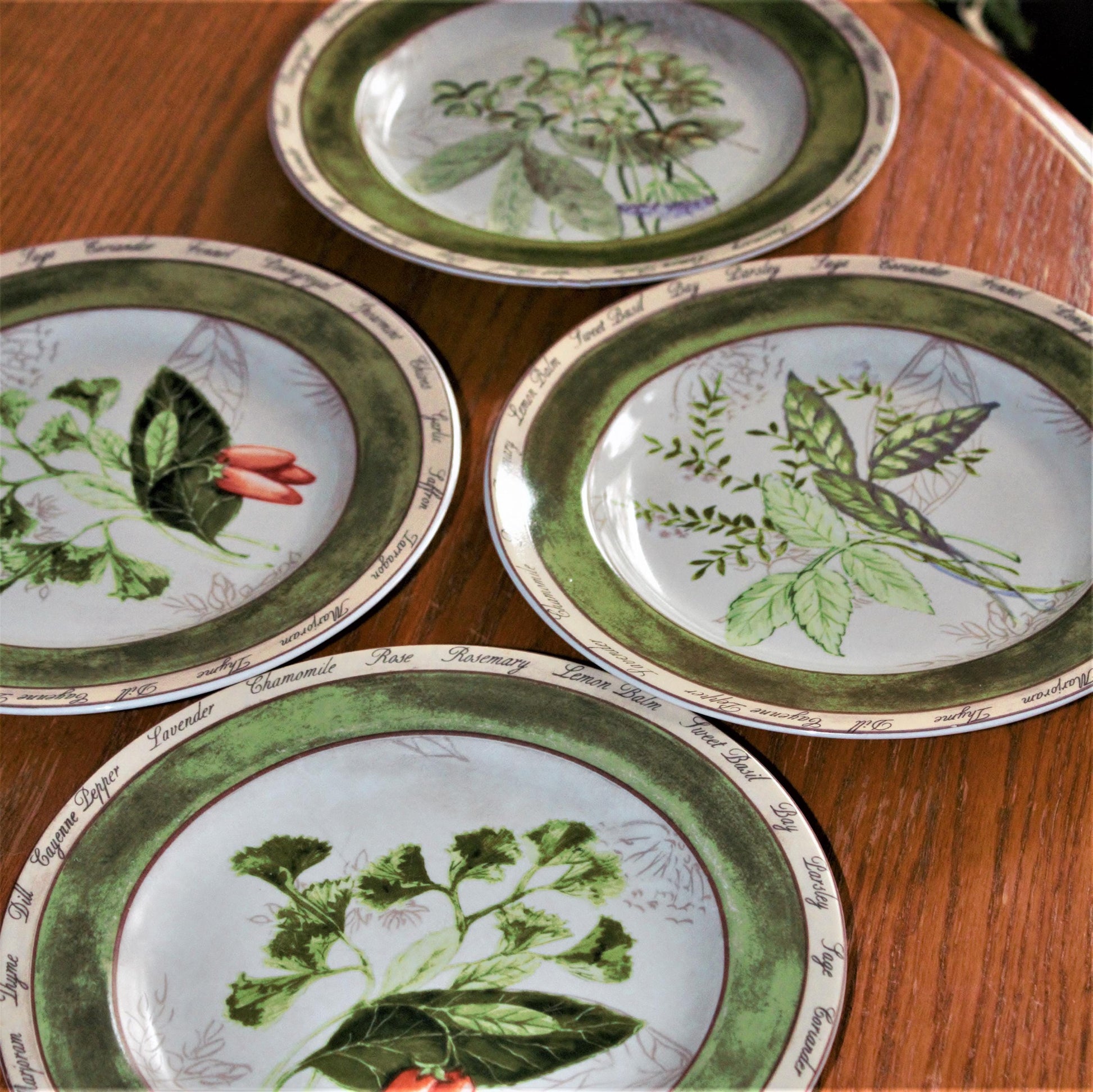 Herb Salad Plates - Set of 4 American Atelier Botanical Plates