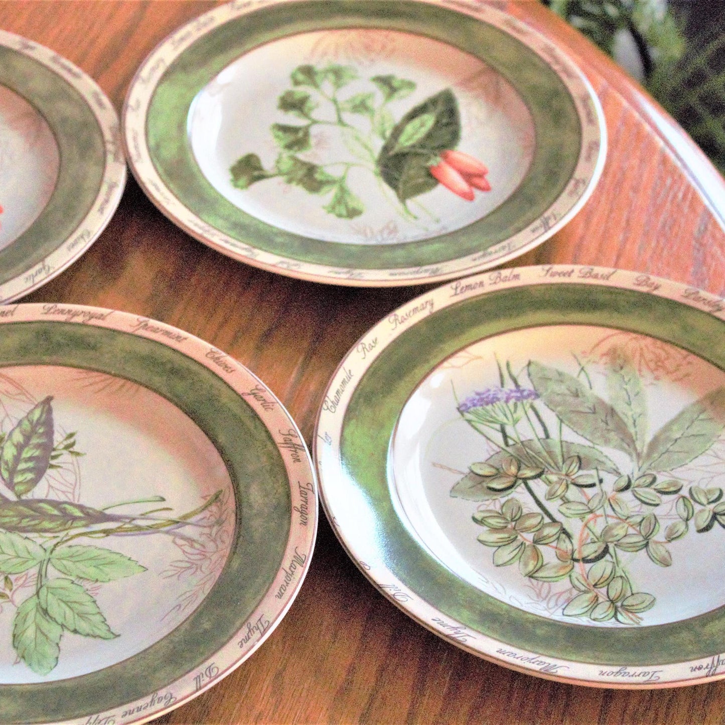 Herb Salad Plates - Set of 4 American Atelier Botanical Plates