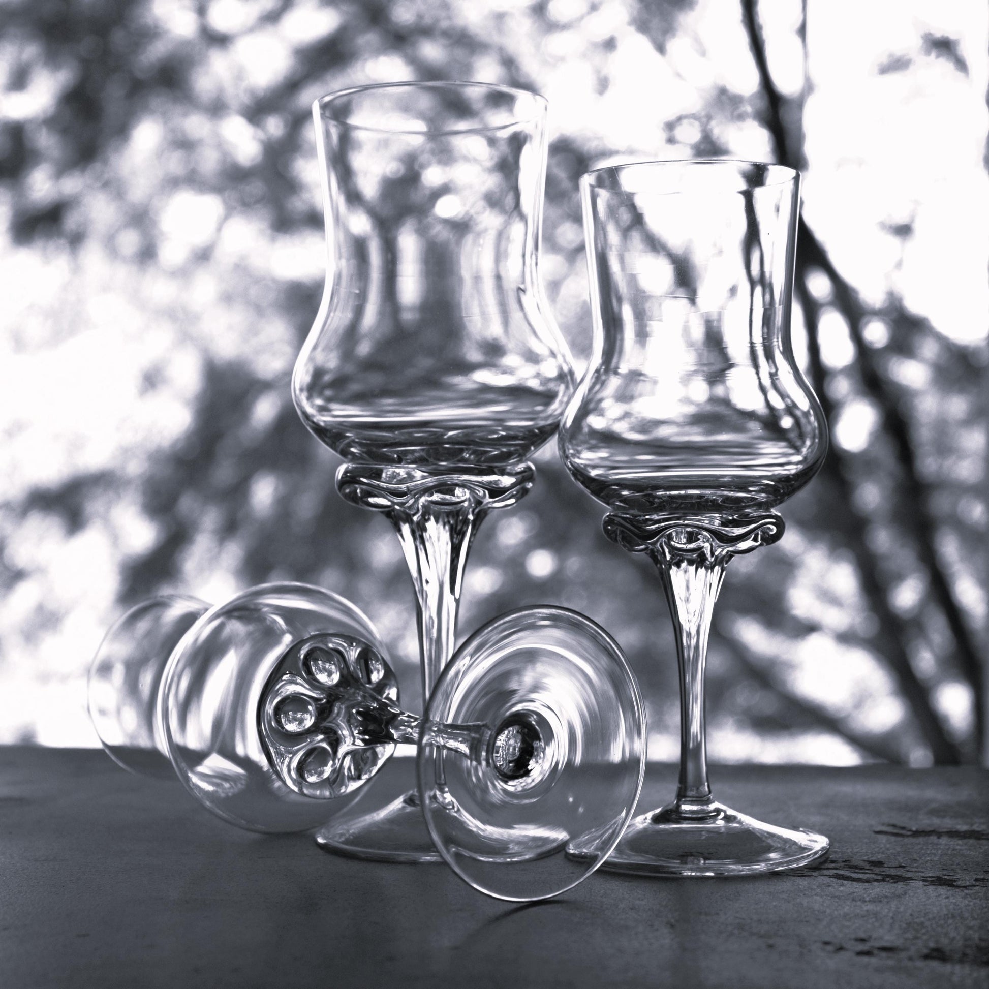 Elegant Grappa Glasses Set of 2: Refined Tasting Glassware