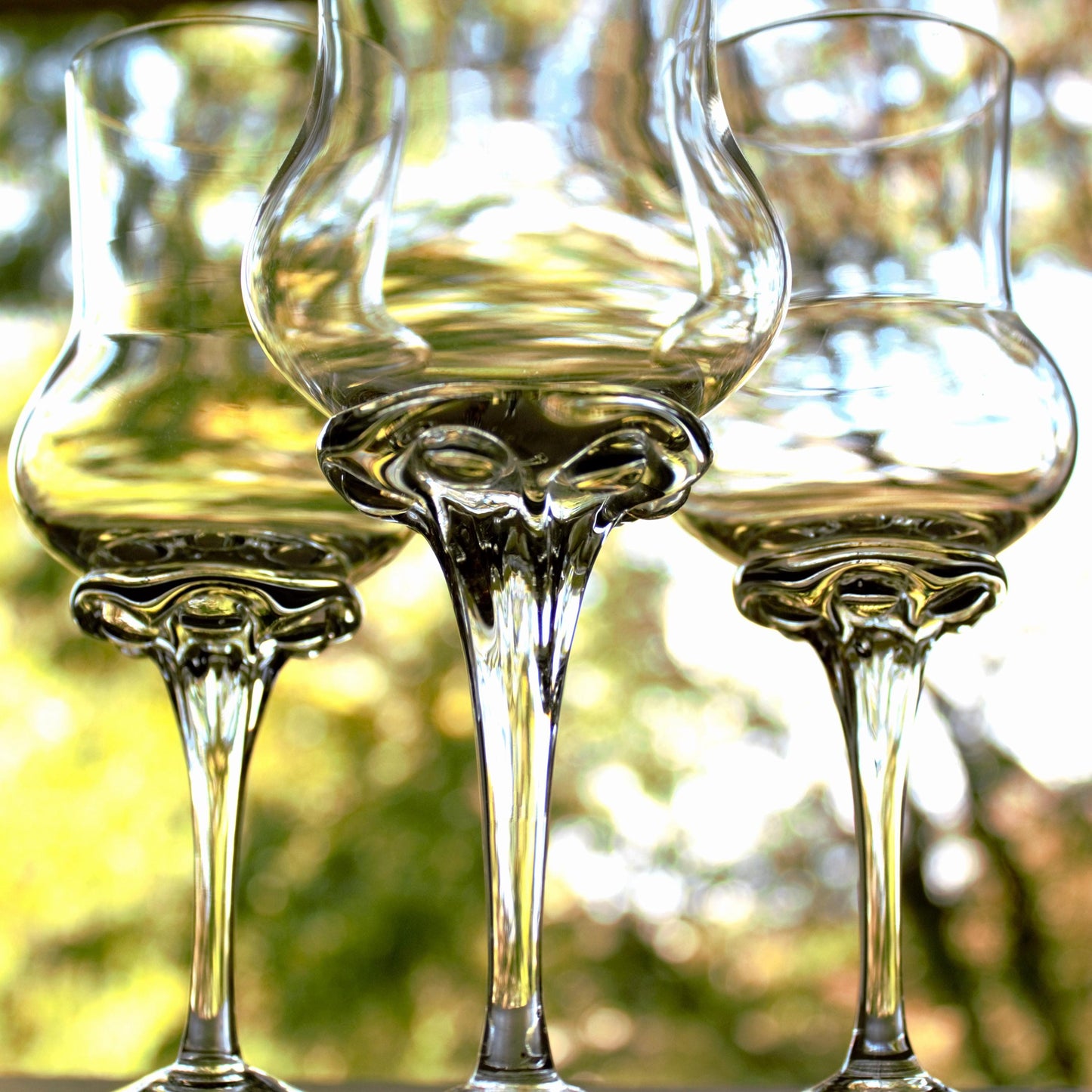 Elegant Grappa Glasses Set of 2: Refined Tasting Glassware