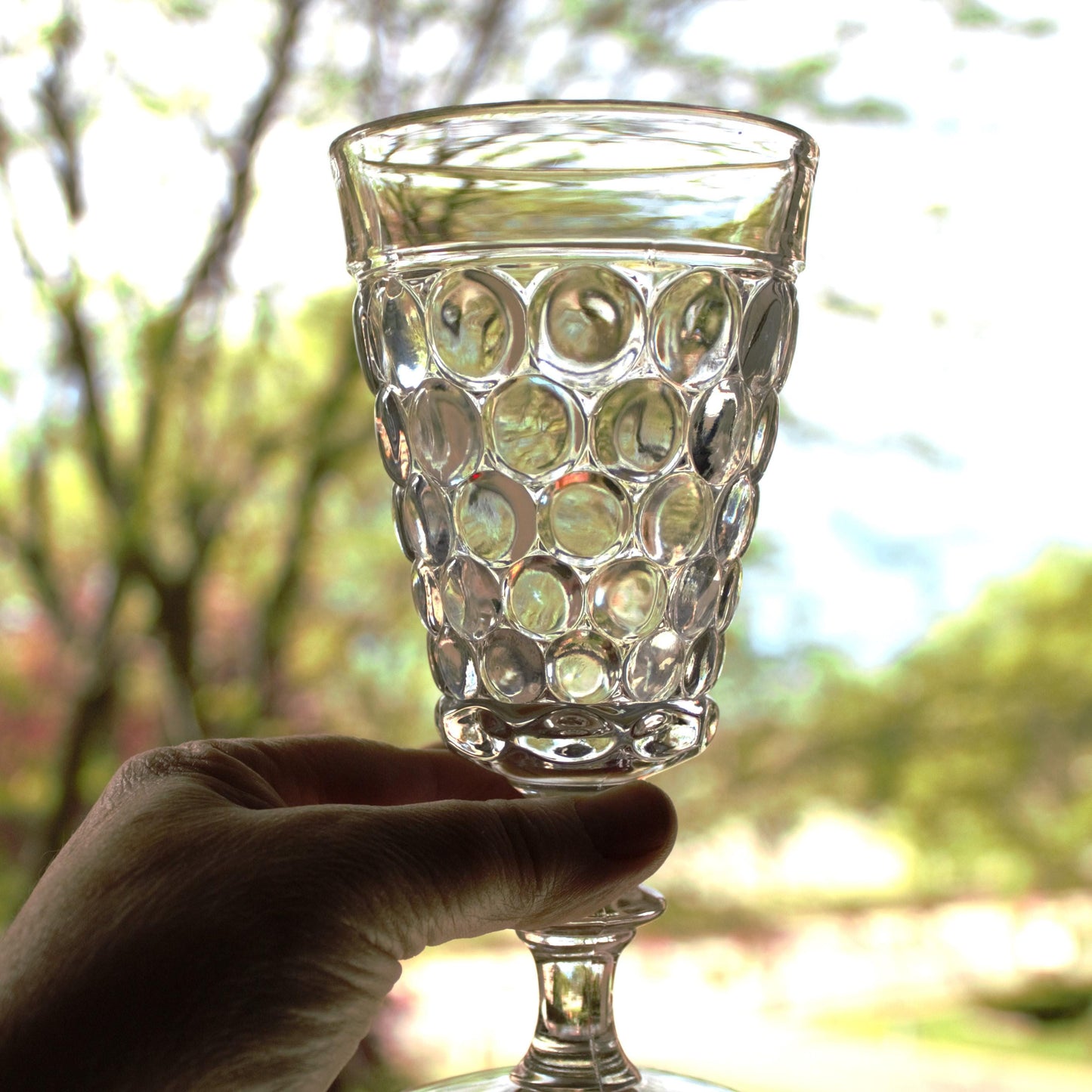 Vintage Bubble Water Glasses - Set of 4 Clear Glass Goblets, Unique stemware, bubble glassware