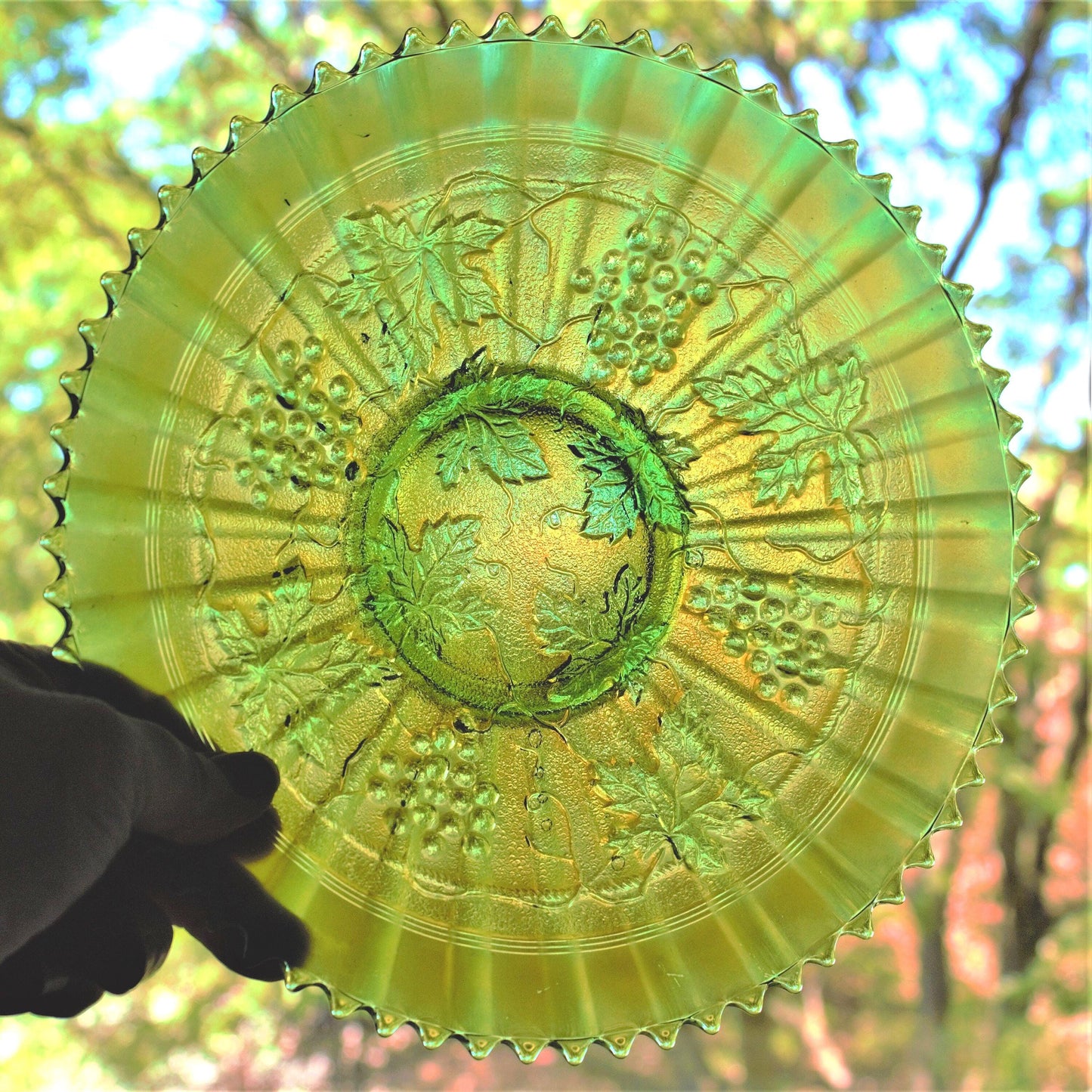 Rare Northwood Grape & Cable Plate: Iridized Green Stippled Sawtooth Edge